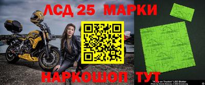 стафф Кингисепп