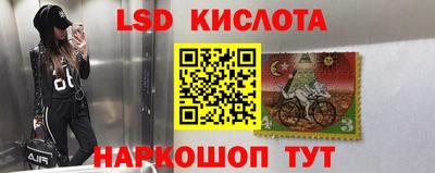 стафф Кингисепп