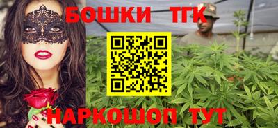 стафф Кингисепп