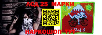 спиды Кимры