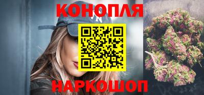 стафф Кингисепп