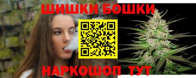 стафф Кингисепп