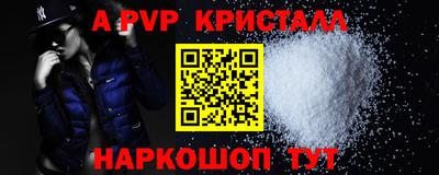 стафф Кингисепп