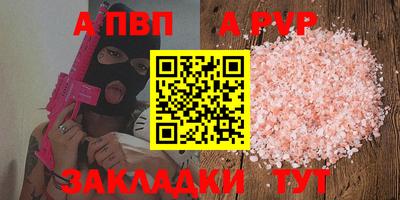 стафф Кингисепп