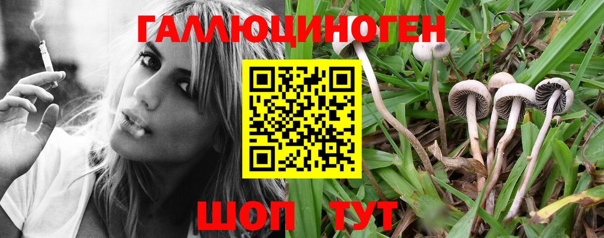 Галлюциногенные грибы GOLDEN TEACHER  Вход с VPN  Керчь 